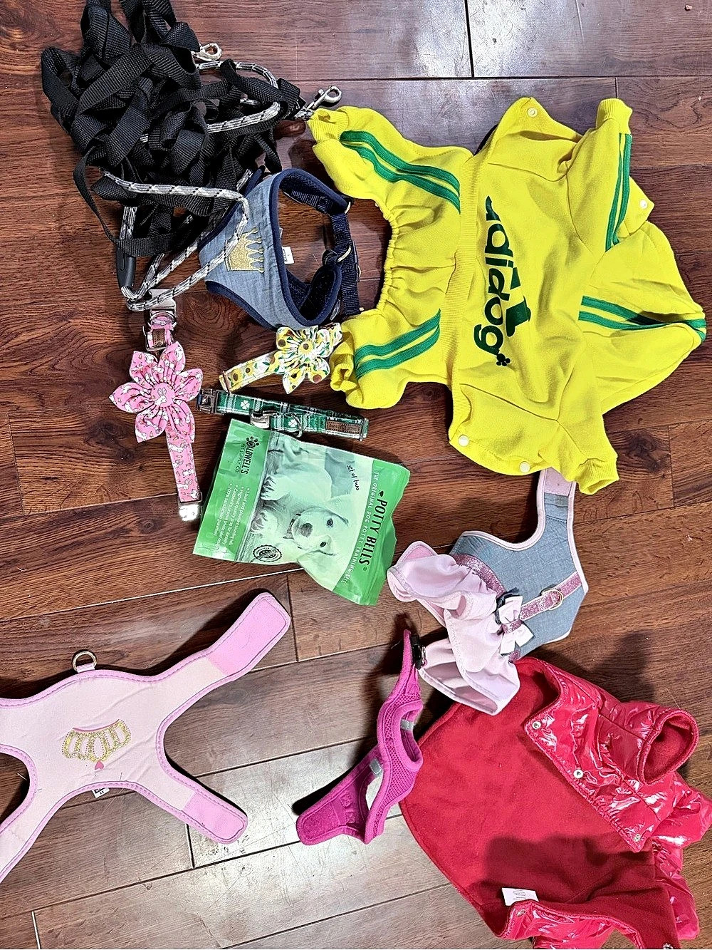 Dog accessories